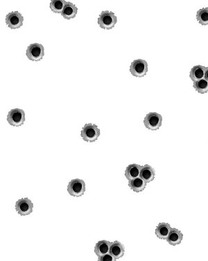 Bullet Holes 22