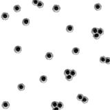 Bullet-Holes-22.jpg