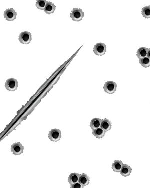 Bullet Holes 23