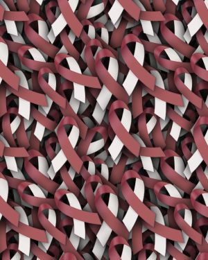 Burgundy and White Ribbons