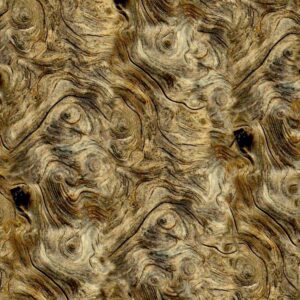Burl Driftwood