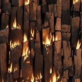 Burning-Cordwood.jpg