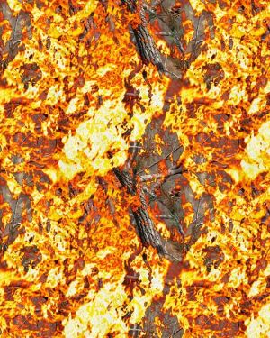 Burning Wood 26