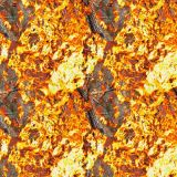 Burning-Wood-26.jpg
