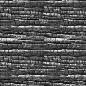 Burnt Wood 23