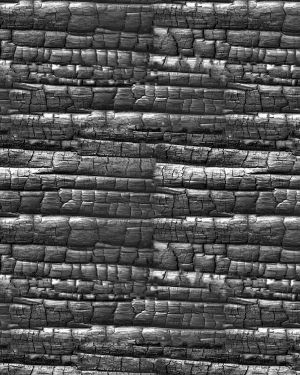 Burnt Wood 23