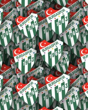 Bursaspor