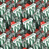 Bursaspor.jpg
