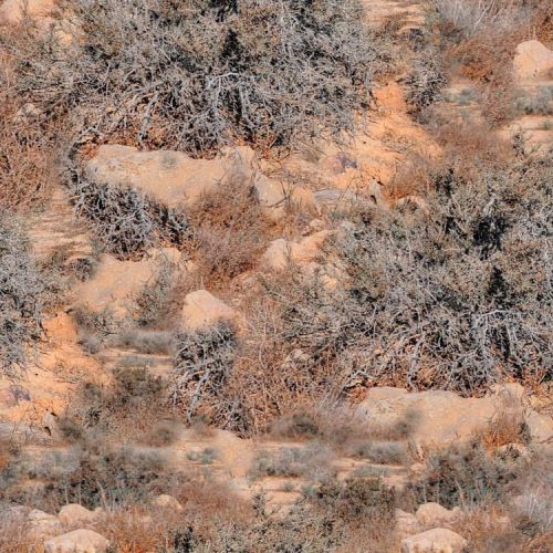 Bush Canyon Camouflage