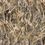 Bushwolf-Tall-Grass-Camo.jpg