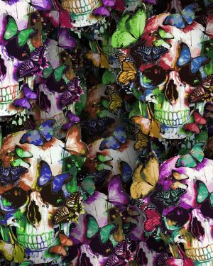 Butterfly Skull