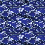 CD-Motagua.jpg