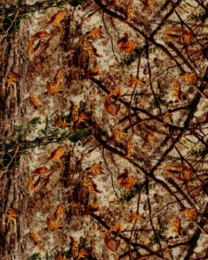 Cabellas Woodlands Zonz Camouflage