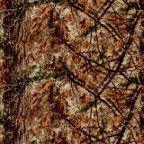 Cabellas-Woodlands-Zonz-Camo.jpg