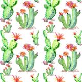 Cactus-Watercolor-25.jpg