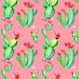 Cactus-Watercolor-26.jpg