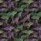Caduceus-Multicolor.jpg