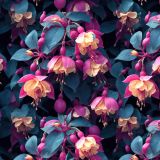 Caesar-Fuchsia-Flowers.jpg