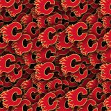 Calgary-Flames-22.jpg