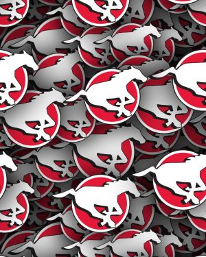 Calgary Stampeders