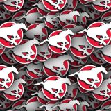 Calgary-Stampeders.jpg