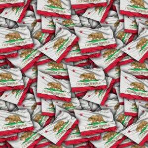 California State Flag