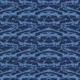 Call-of-Duty-Blue-Tiger-Camo.jpg