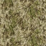 Camo-Coyote-Fur-thumb.jpg