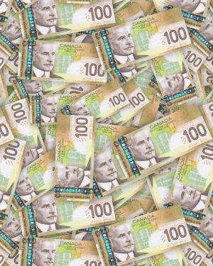 Canadian 100 Dollar Bill