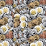 Canadian-Coins.jpg