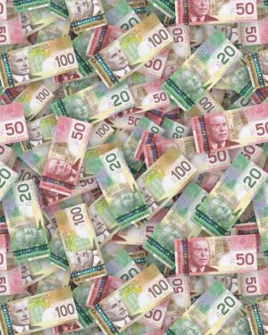 Canadian Mixed Dollar Bills