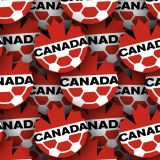 Canadian-National-Soccer-Team.jpg