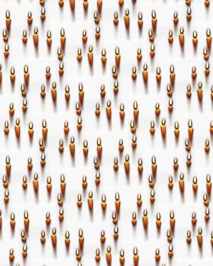 Candles 22
