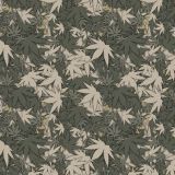 Cannabis-23-Camo.jpg