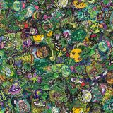 Cannabis-Hemp-Kush-Weed-Sticker-Bomb-1.jpg