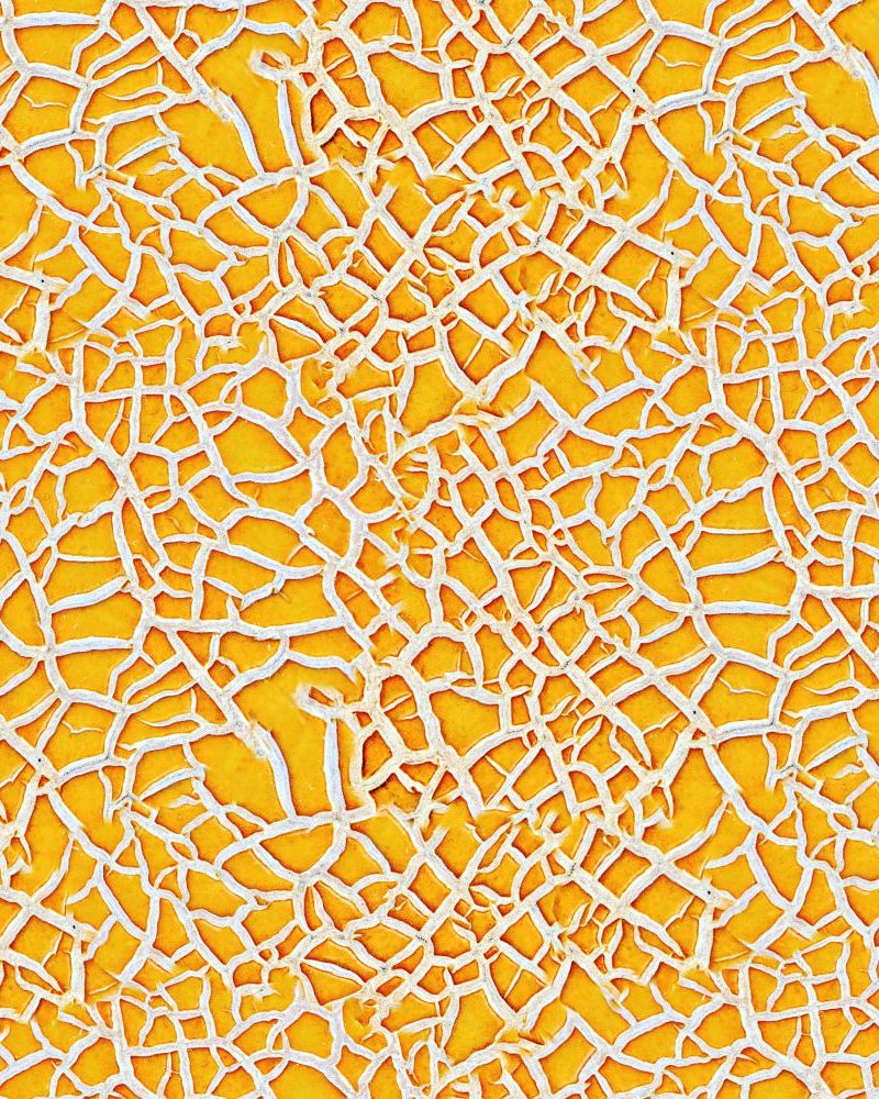 Cantaloupe 23