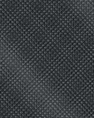 Carbon Fiber 49 with Shimmer