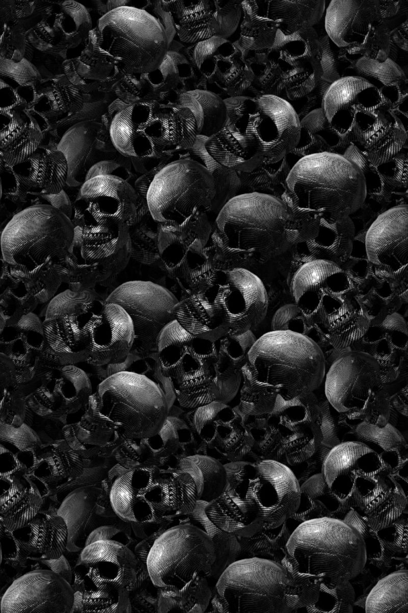 Carbon Fiber Skulls