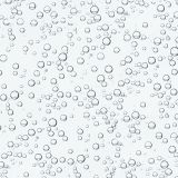 Carbonated-Bubbles.jpg