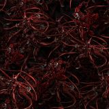 Carnage-23.jpg