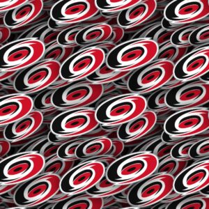 Carolina Hurricanes 22