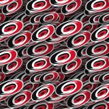 Carolina-Hurricanes-22.jpg