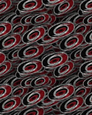 Carolina Hurricanes 23