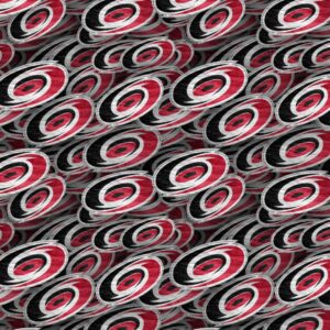Carolina Hurricanes 24