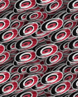 Carolina Hurricanes 24