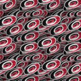 Carolina-Hurricanes-24.jpg