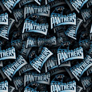 Carolina Panthers 22