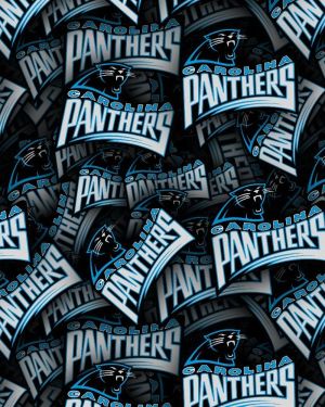 Carolina Panthers 22