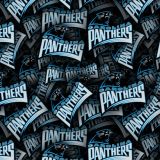 Carolina-Panthers-22.jpg