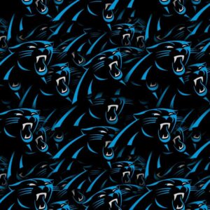 Carolina Panthers 23